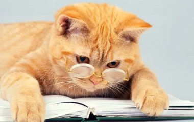 Дев’ять звичок людей із високим рівнем IQ