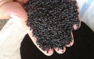 Какие семена лука лучше?