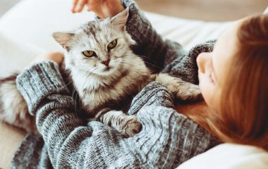 Життя не те: 5 причин завести в будинку кота