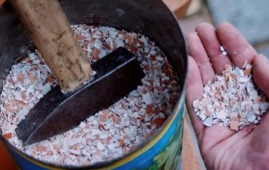 Яєчна шкаралупа як цінне добриво і не лише: способи використання її на городі