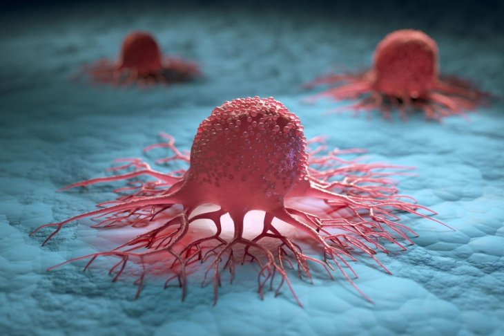 Ученые назвали «суперпродукт», убивающий раковые клетки