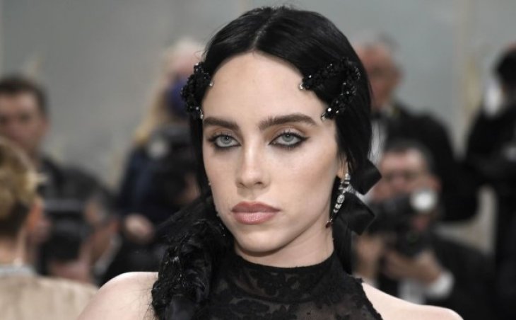 Билли Айлиш преследует сумасшедший мужчина и угрожает убить ее брата