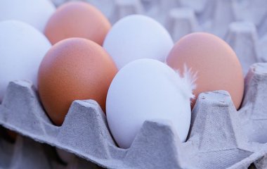 Експерти розповіли, яйця якого розміру найкорисніші