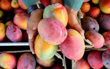 Лікар назвала найалергенніші продукти