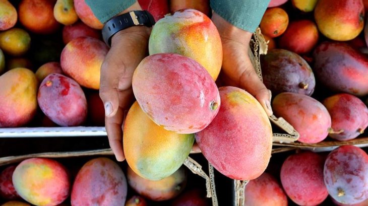 Врач назвала самые аллергенные продукты