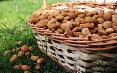 Який продукт знижує цукор у крові за 15 хвилин — є у кожному магазині