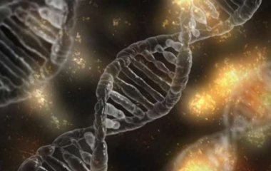 Генетики предложили новую методику для продления жизни в пять раз