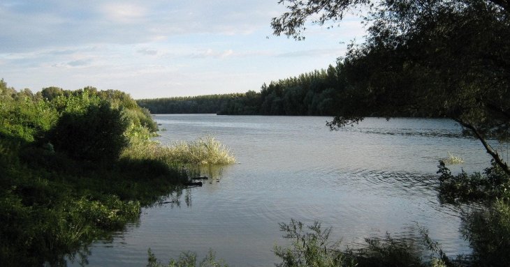 Будинок на березі Дунаю продають за 10 тисяч євро: який нюанс приховує дешева нерухомість