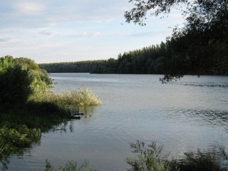 Будинок на березі Дунаю продають за 10 тисяч євро: який нюанс приховує дешева нерухомість