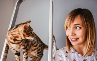 Чому кішка постійно ходить за своїм господарем: ви точно про таке не знали