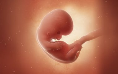 8 неделя беременности