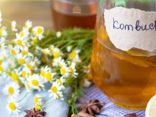 Що буде з організмом, якщо пити комбучу щодня: експерти розповіли про приховані ризики
