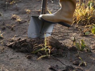 Чи треба перекопувати город восени: експерти дали остаточну відповідь на це запитання