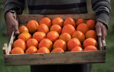Диетолог перечислил продукты для борьбы с йододефицитом