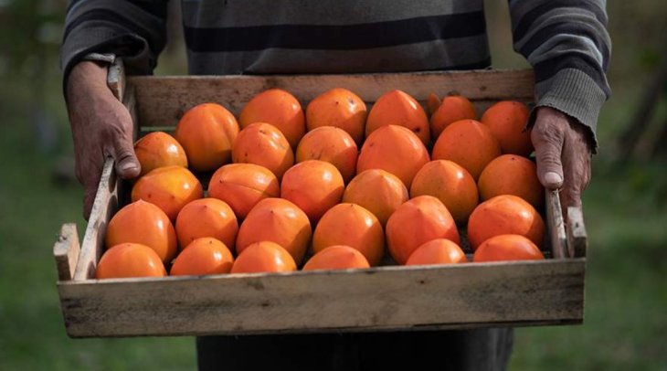 Диетолог перечислил продукты для борьбы с йододефицитом