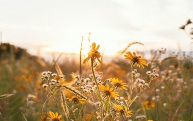 День ангела 6 липня: кого та як вітати з іменинами