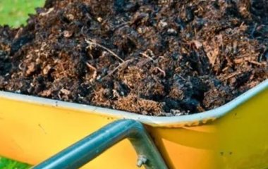 Как втрое ускорить приготовление компоста: простой лайфхак