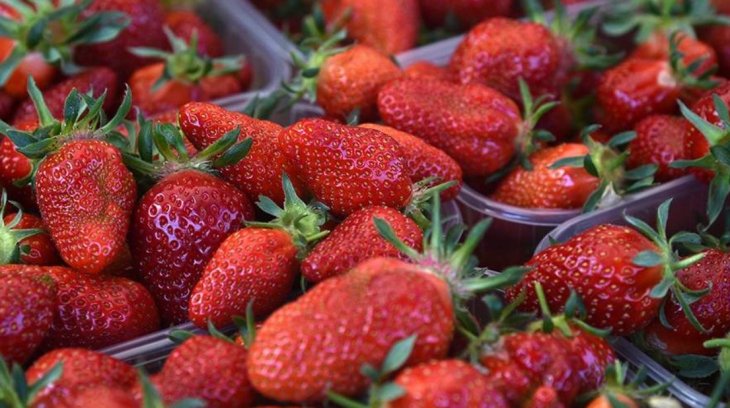 Дієтолог перерахувала корисні для психічного здоров'я продукти