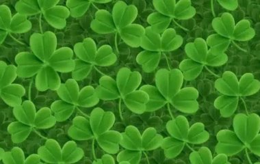 Лише одиниці можуть знайти за 15 секунд чотирилисту конюшину: візуальна головоломка