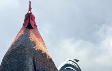 Найбільший у світі готель у формі півня: який вигляд має чудернацька будівля (фото)