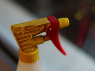 Навіщо розпилювати оцет на терасі: простий спосіб відлякати павуків