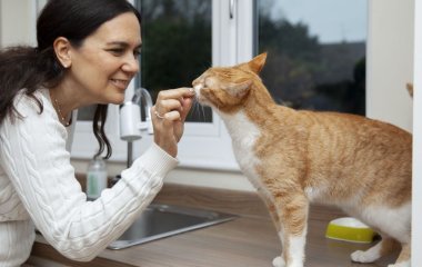 Ветеринари назвали продукти, якими категорично не можна годувати котів, і ось чому