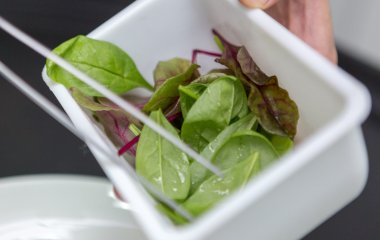 Лікар назвала продукти для оздоровлення печінки