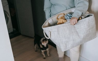 Як вивести жирні плями з одягу за допомогою сухого шампуню