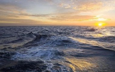 Спалах небезпечного вірусу на круїзному лайнері: відомо про загиблих, з судна нікого не випускають