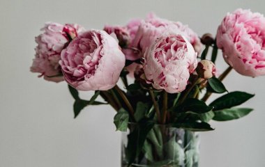 Что сделать, чтобы цветы долго стояли в вазе: правильный уход за срезанными растениями