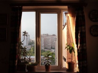 Жовті пластикові вікна знову стануть білосніжними: простий засіб, який є майже на кожній кухні
