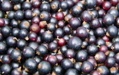 Названо продукти, що знижують ризик інфаркту