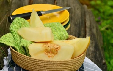 Лікар пояснила небезпеку дині для деяких людей