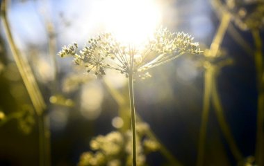 День ангела 22 травня: кого та як вітати з іменинами
