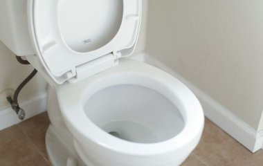 Як у домашніх умовах почистити унітаз і не витратити жодної копійки: ось чим мити