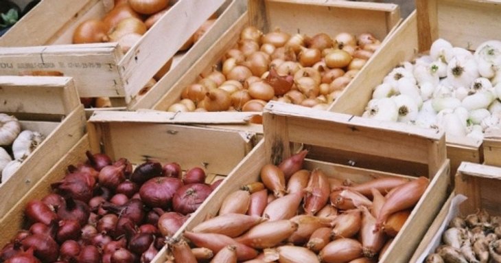 Як зберегти цибулю на зиму аж до весни: несподіваний лайфгак