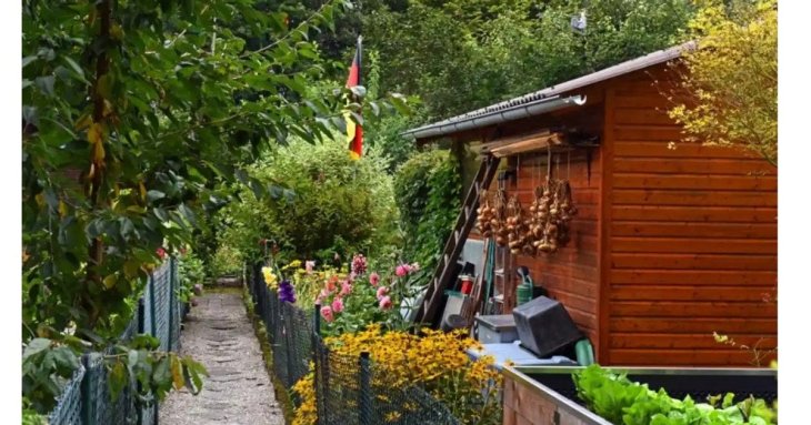 За що штрафують німецьких дачників: чому в країні не можна ночувати на дачі
