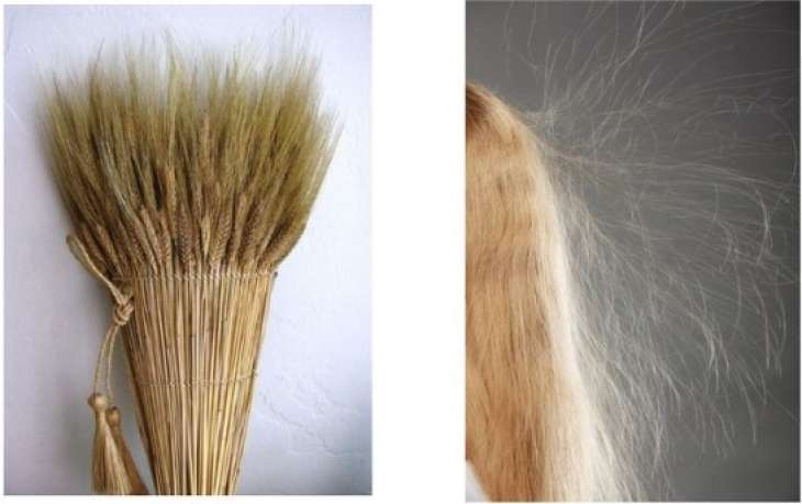 5 шкідливих звичок у догляді за волоссям, яке варто уникати взимку