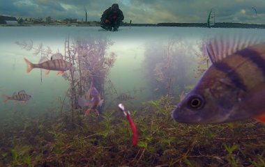 Как выбрать подводную камеру для рыбалки?