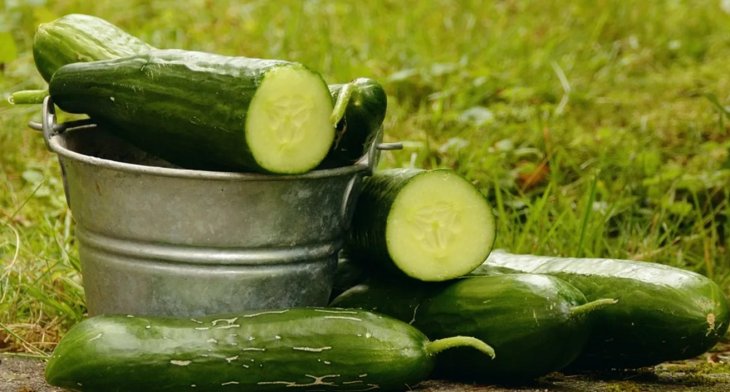 Как сделать увядшие огурцы снова хрустящими и вкусными
