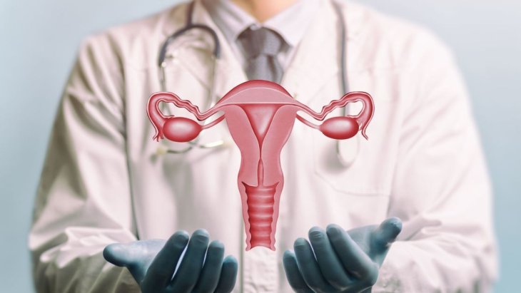 Медики назвали главные признаки повышения уровня эстрогена у женщин