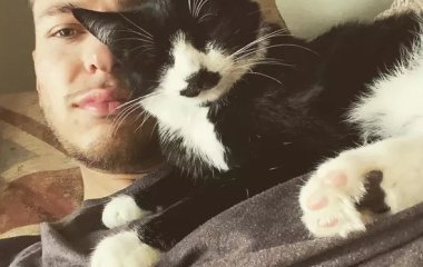 Обаятельный кот — копия пирата Джека Воробья стал звездой Instagram
