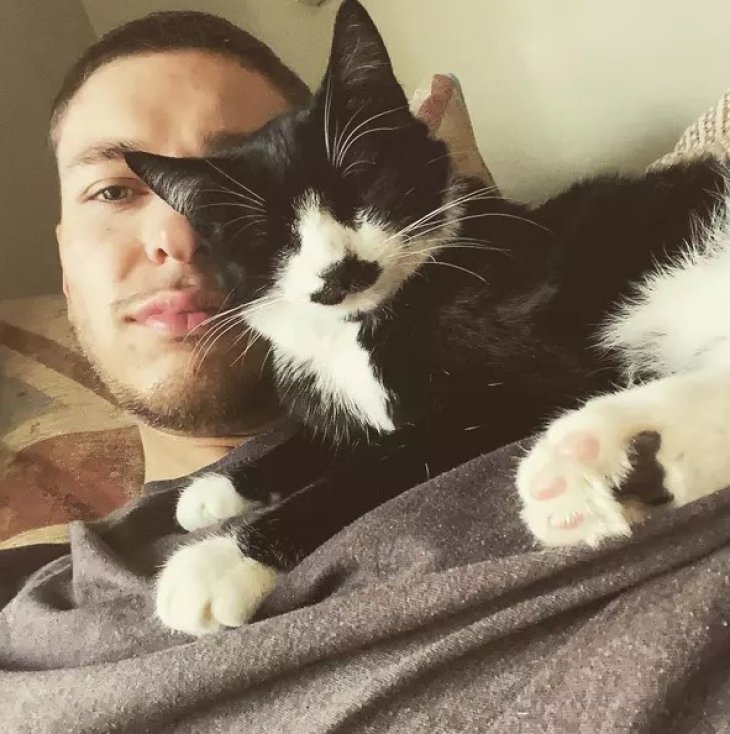 Обаятельный кот — копия пирата Джека Воробья стал звездой Instagram