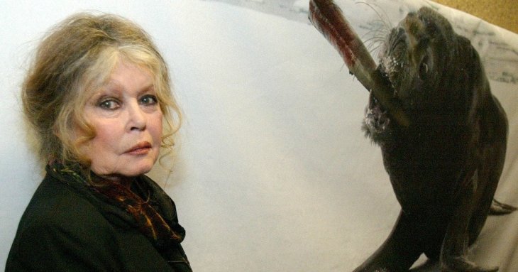 Бріжіт Бардо померла: де поховають легендарну акторку