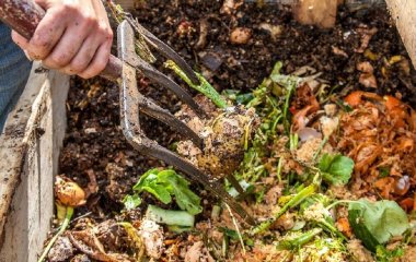 Як приготувати «прискорювач» компосту своїми руками