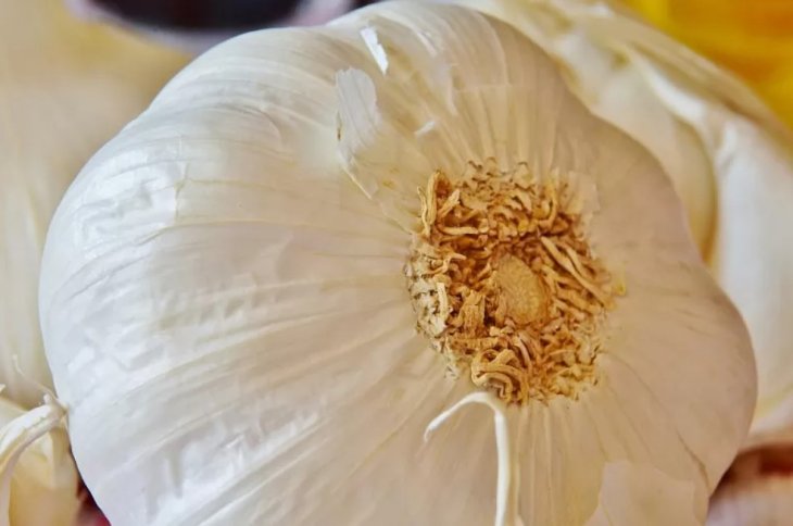 Які продукти допоможуть захиститися від тромбозів