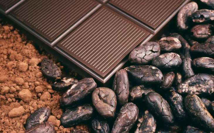 Если шоколад, то горький: пять причин, почему нужно его есть