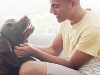 Мужчина нашел забавный способ «погладить» свою собаку (ВИДЕО)