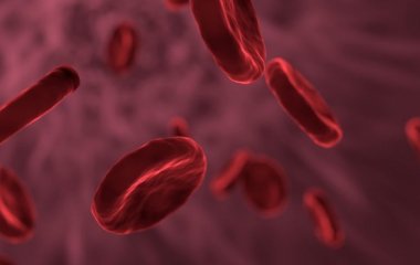 Як за допомогою корисних та простих продуктів розріджувати кров