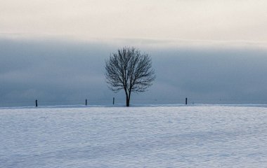 День ангела 17 січня: кого та як вітати з іменинами